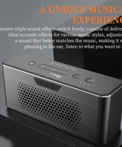 Loa Bluetooth Cao Cấp Cyboris T3 Pro | Vỏ Nhôm, Âm Thanh Hi-Fi, DSP 14 cau truc am thanh cyboris t3 pro 2