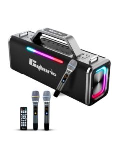 Loa Karaoke Cyboris Battleship X12 | 200W