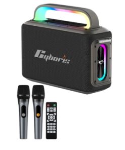 Loa Karaoke Bluetooth Cyboris X13 100W